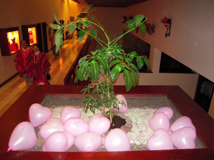 Heart shaped balloons