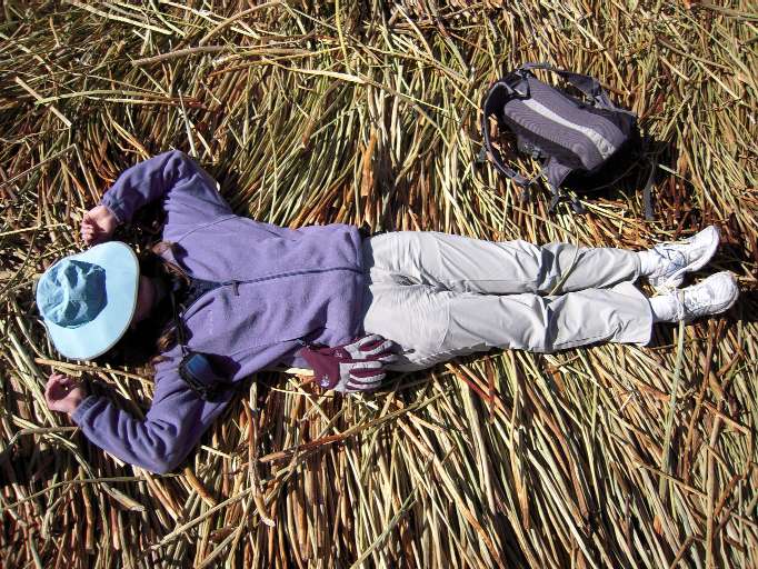 Resting on Floating Island