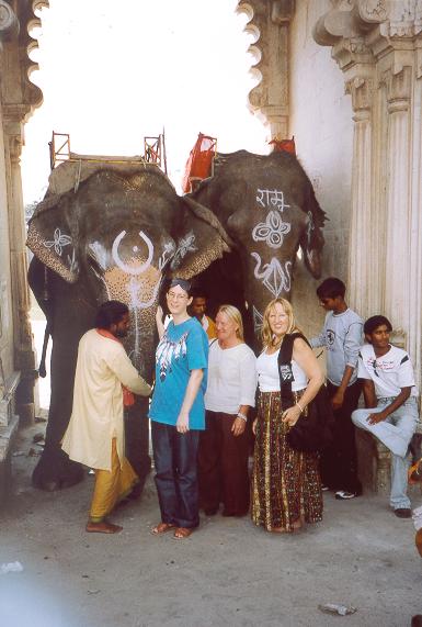 Elephants in Udaipur, India