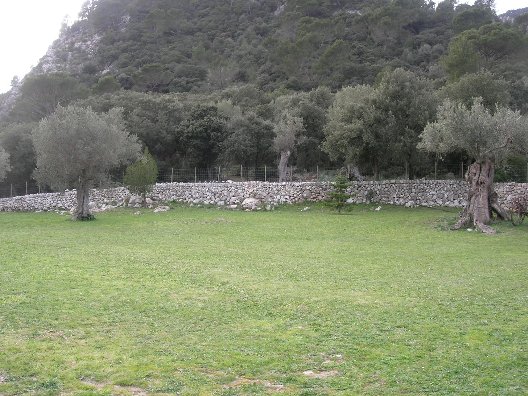 Activation Site lawn