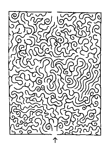 Curly Hair Maze